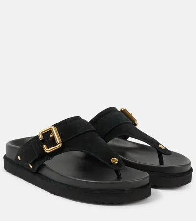 Chloé Nil Suede Thong Sandals In Black