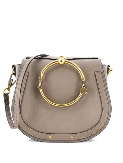 Pre-owned Chloé Nile Leather Medium Crossbody Bag In Neutral