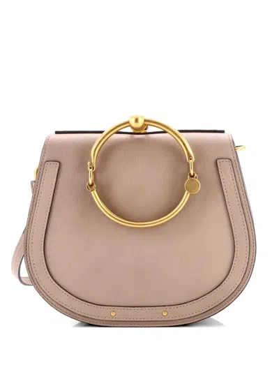 Pre-owned Chloé Nile Leather Medium Crossbody Bag In Neutral