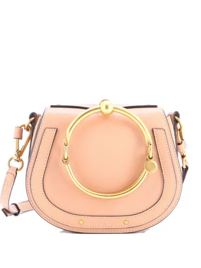 Pre-owned Chloé Nile Leather Small Crossbody Bag In Neutral