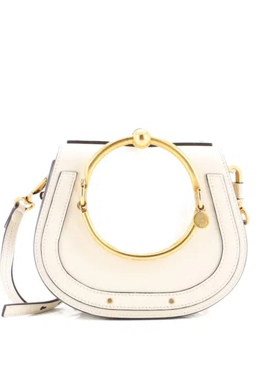 Pre-owned Chloé Nile Leather Small Crossbody Bag In Neutral