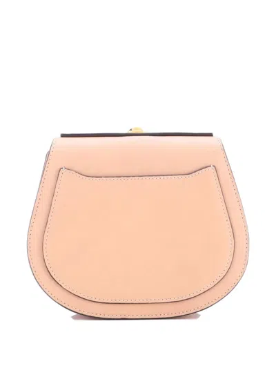 Pre-owned Chloé Nile Leather Small Crossbody Bag In Neutral