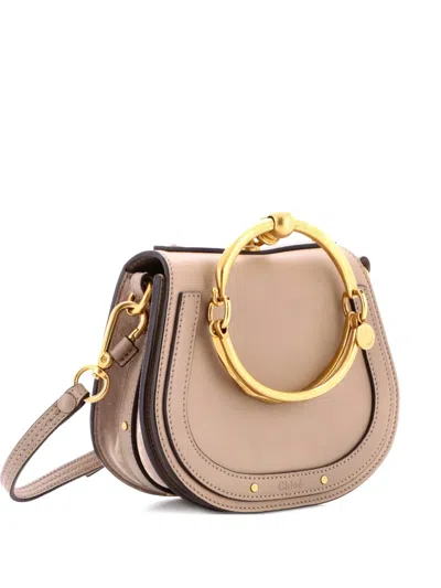 Pre-owned Chloé Nile Leather Small Crossbody Bag In Neutral