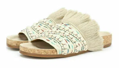 Pre-owned Chloé Chloe Nolan Slide Flats Sandals Iconic Shoes Mules Sandal 36 In Multicolor