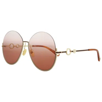 Chloé Novelty Women's Sunglasses In Brown