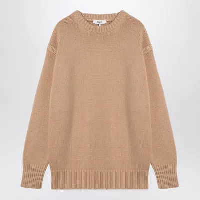 Chloé Nude Cashmere And Cotton Oversize Jumper In Brown
