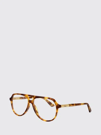 Chloé Optical Frames Woman  In Brown