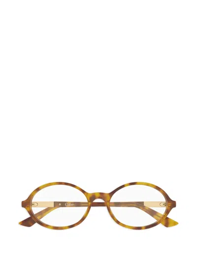 Chloé Eyewear Oval Frame Glasses In Black