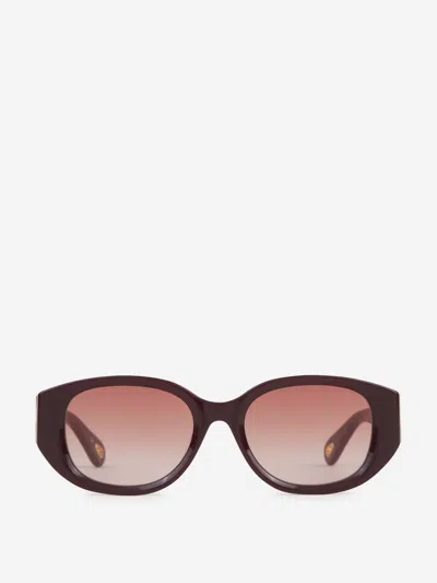 Chloé Oval Sunglasses In Bordeus