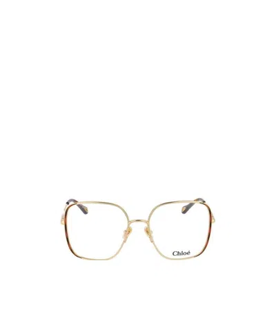 Chloé Oversize-frame Glasses In Nude