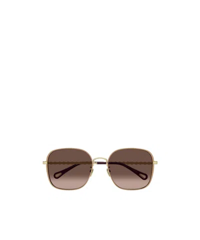 Chloé Oversize-frame Sunglasses In Brown