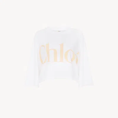 Chloé T-shirt Court Oversize En Jersey De Coton À Logo Femme Blanc Taille Xl 100% Coton In White