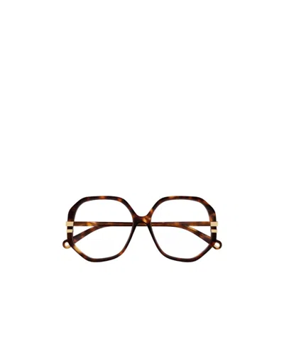 Chloé Oversized-frame Glasses In Brown
