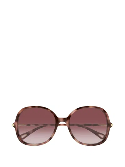 Chloé 57mm Gradient Round Sunglasses In Green