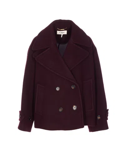 Chloé Oversized Short Wool Coat In Burgundy