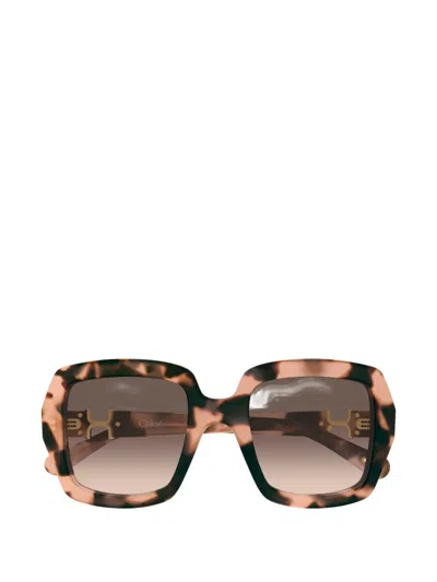 Chloé Oversized Square-frame Sunglasses