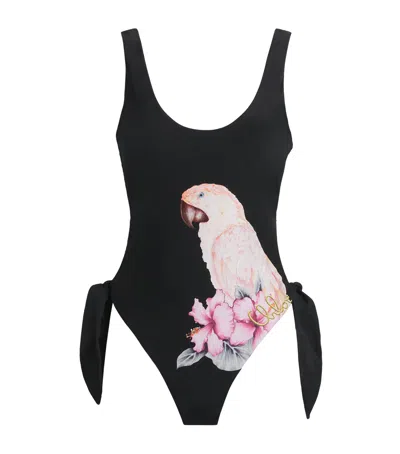 Chloé Parrot Cut-out Swimsuit In Black