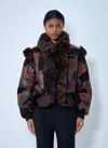Chloé Shearling-trimmed Leather Bomber Jacket In Multi