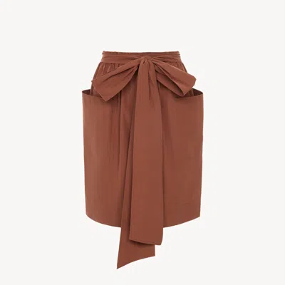 Chloé Pencil Skirt In Cotton Poplin In Brown