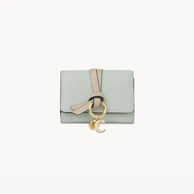 Chloé Mini Alphabet Tri-fold In Grained Leather Green Size Onesize 100% Calf-skin Leather