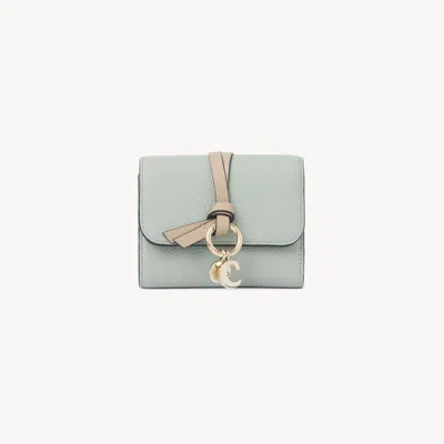Chloé Small Alphabet Tri-fold In Grained Leather Green Size Onesize 100% Calf-skin Leather