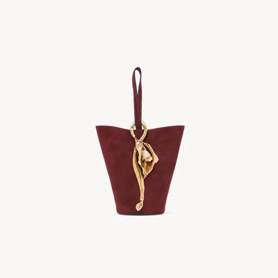 Chloé Petit Sac Seau Dragonne Eden Treasures En Cuir Velours In Brown