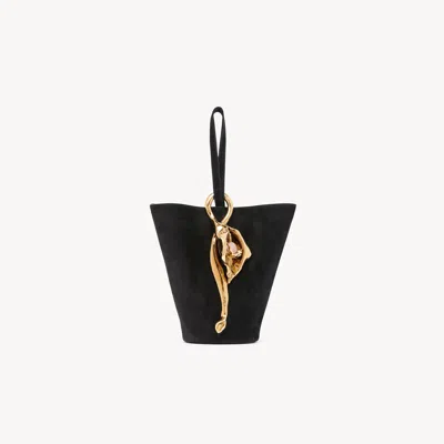 Chloé Petit Sac Seau Dragonne Eden Treasures En Cuir Velours In Black