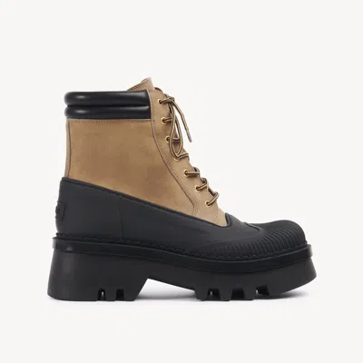 Chloé Bottines Phoenix Femme Brun Taille 35 100% Cuir De Veau, Cuir D'agneau, Eva (ethylène - Vinyle - Acé In Brown