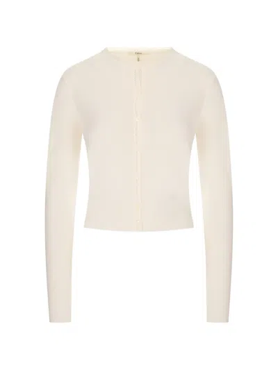 Chloé Pointelle-knit Scalloped-trim Cardigan In Neutral