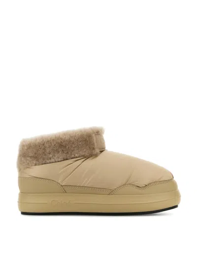 Chloé Polar Ankle Boots In Brown