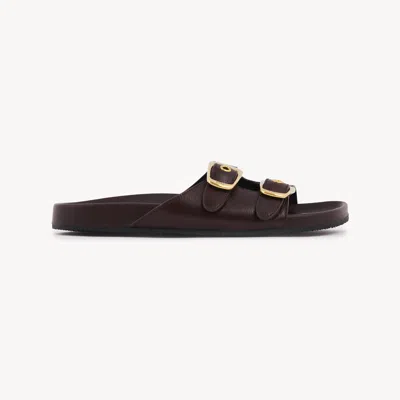 Chloé Polly Double Strap Slide Sandal In Brown
