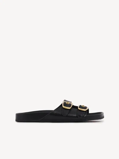 Chloé "polly" Slides