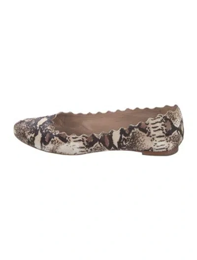 Pre-owned Chloé Ponyhair Animal Print Ballet Flats In Brown