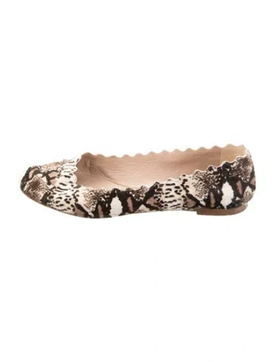 Pre-owned Chloé Ponyhair Animal Print Ballet Flats In Brown