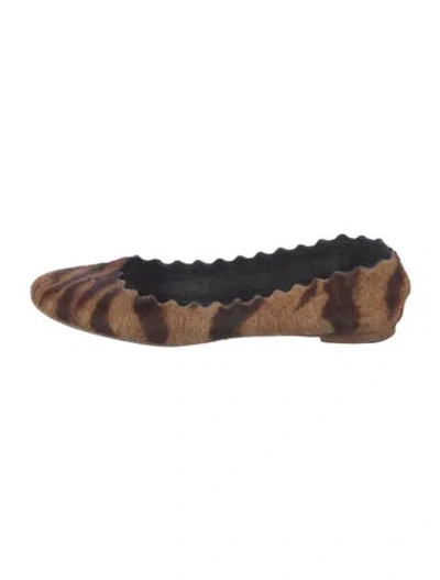 Pre-owned Chloé Ponyhair Animal Print Ballet Flats In Neutral