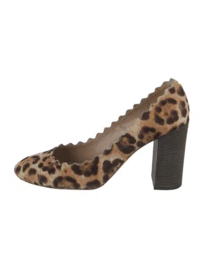 Pre-owned Chloé Ponyhair Animal Print Pumps In Neutral