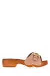 Chloé Powder Pink Leather Jeanette Clogs In Pink