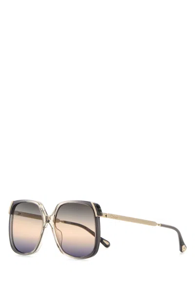 Chloé Chloe Printed Acetate And Metal Aly Sunglasses