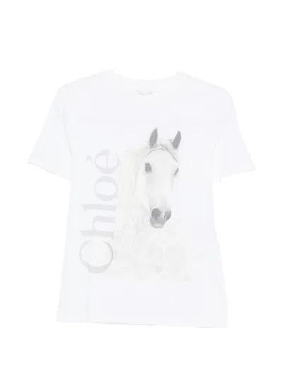 Chloé Cotton Crew Neck Graphic Short Sleeve T-shirt In White