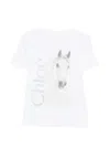 Chloé Cotton Crew Neck Graphic Short Sleeve T-shirt In Multi