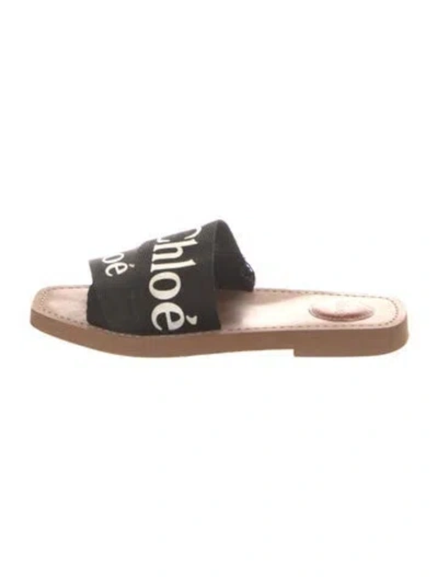 Pre-owned Chloé Printed Slides In Black