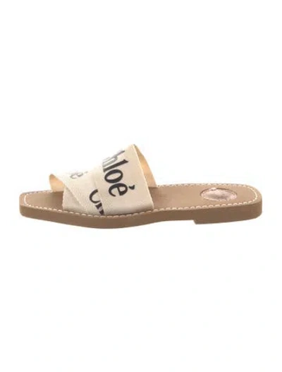 Pre-owned Chloé Printed Slides In Brown