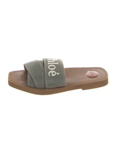 Pre-owned Chloé Printed Slides In Neutral