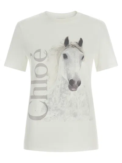 Chloé Faded Horse-print Cotton Jersey T-shirt In White