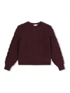 Chloé Pullover In Burgundy