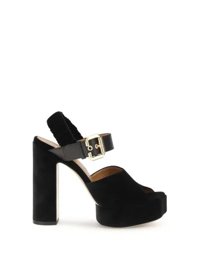 Chloé Pumps In Black