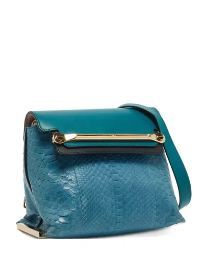 Pre-owned Chloé Python Leather Shoulder Bag In Blue