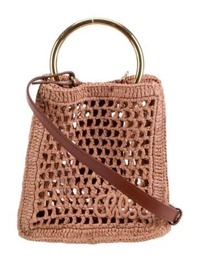 Pre-owned Chloé Raffia Bucket Bag In Brown