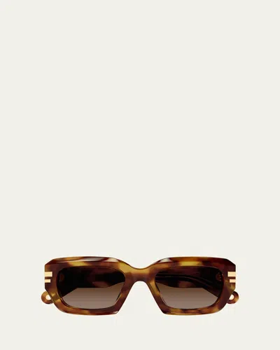 Chloé Rectangle Acetate Sunglasses In Brown