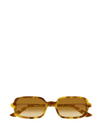 Chloé Judy Rectangle-frame Tortoiseshell Acetate Sunglasses In Brown